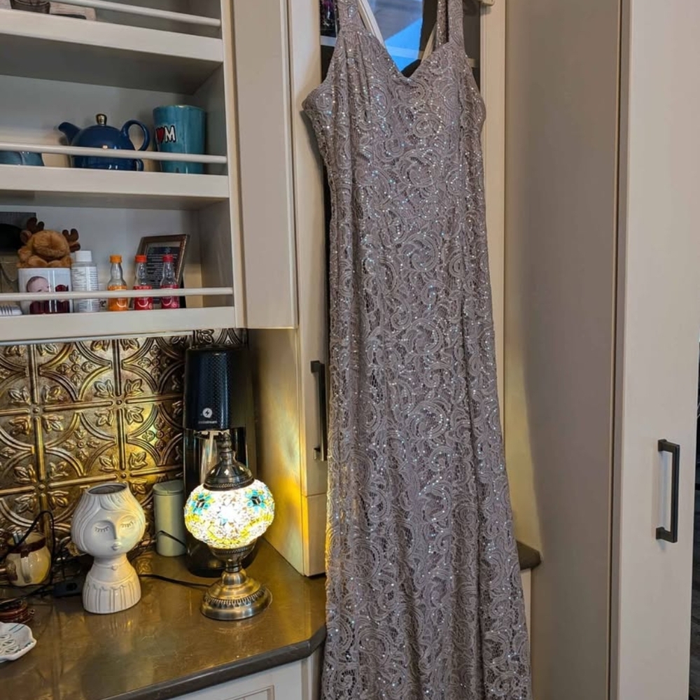 Elegant Silver Evening Gown with Sheer Overlay - Picture 6 of 6
